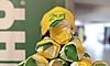 Subway ampliar su presencia en Panam 