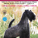 Feria canina 2019