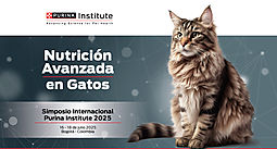
Innovacin en nutricin felina: veterinarios pueden participar gratuitamente del Simposio Internacional de Purina 2025
