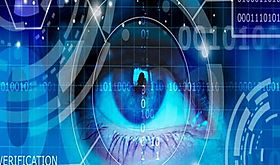 Son seguros controles de accesos biomtricos
