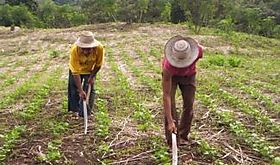 Da Mundial de la Agricultura