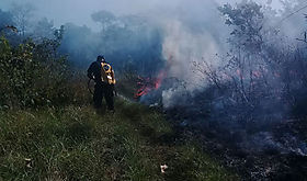 Bolivia enfrenta su peor desastre ambiental con 98 millones de hectreas quemadas