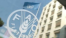 ndice de precios de alimentos de la FAO marc su mayor subida anual