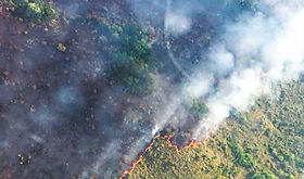 Brasil autoriza presupuesto extra para combatir incendios en Amazonas