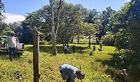 CAF y el Fondo Verde del Clima lanzan el Programa Pymes Verdes LAC