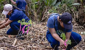 MiAmbiente fortalece gestin forestal con nueva tecnologa