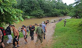 320 mil migrantes podran cruzar la selva de Darin a fin de ao