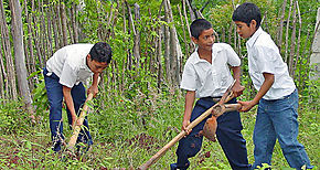 Kit Mi Huerto Solidario en Veraguas