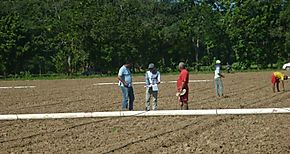 Unidad ambiental orienta a productores en manejo de fincas 