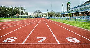 Deporte al servicio de las Relaciones Internacionales