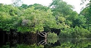 Tcnicos de reas protegidas reciben capacitacin en gestin de vida silvestre