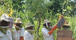 Productores Apcolas de Panam Oeste reciben capacitacin