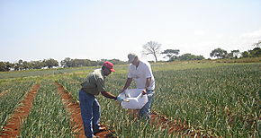 Capacitan a productores pecuarios en Los Santos