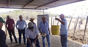 Veterinarios y Productores de Herrera reciben capacitacin en uso de medicamentos