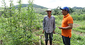 En la coordillera de Las Minas trabajan la Agricultura Orgnica