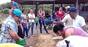 Apertura de Escuelas de Campo en Los Santos