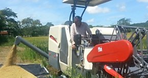 Capacitan a extensionistas en manejo Agronmico en el cultivo de arroz mecanizado