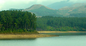 56 aos de la Reserva Forestal La Yeguada