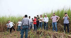 Avanza proceso de licitacin para Proyecto de Construccin de Planta de Tratamiento de Aguas Residuales de Arraijn Este