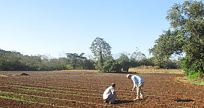 Tcnicos agrcolas en Los Santos se capacitan en riego por goteo