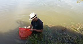 ARAP realiza Seminario sobre el Cultivo de Peces y actualizacin de Nuevas Tecnologas 