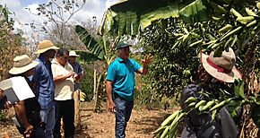 Capacitan a tcnicos y productores de Los santos con sistemas de produccin multipropsitos