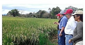 Cinap se prepara para gira da de Campo en Mayo 