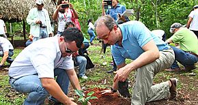 London  Regional Panama SA recupera sus bosques