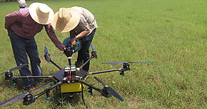 Uso de drones en Finca de Mariato Veraguas