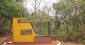 Se construir Carretera Nacional Puerto Limn y ramal Parque Nacional Sarigua