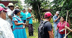 Capacitacin a productores comarcales