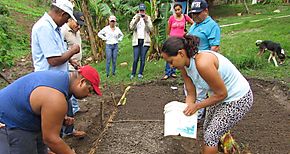 Capacitan a productores en agricultura domiciliaria y seguridad nutricional