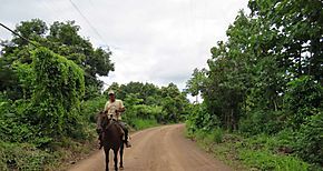 215 familias del distrito de Las Minas recibieron casas nuevas