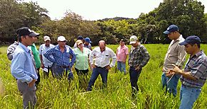 Capacitan a productores en manejo de potreros y bancos forrajeros 