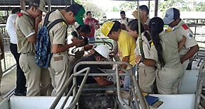 Estudiantes de  IPT Pablo A Pinzn de Veraguas visitan la FCA