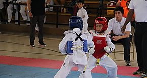 El VI Open de Veraguas muestra el talento y futuro del Taekwondo en Panam