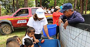 Cosechan Tilapia en la Regin Comarcal de Veraguas