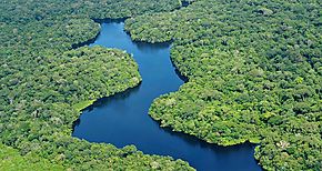 BID anuncia creacin de fondo para proteger Amazonia