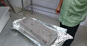 Inspección a planta agroindustrial en Bocas del Toro Inspección a planta agroindustrial en Bocas del Toro