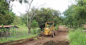 Se rehabilitan caminos de produccin en Las Flores de Pes