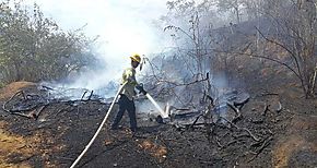 MiAMBIENTE lanza campaa de prevencin de incendios en masas vegetales 2018