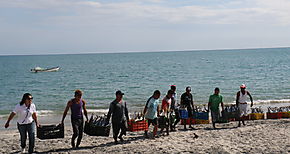 Panam quieres mas mujeres en la mar 