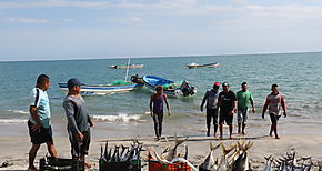 Pescadores Vigilantes en intensa gira