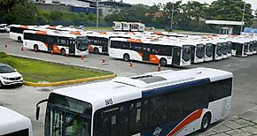 Comenz plan piloto de servicio expreso de MiBus en Panam Norte