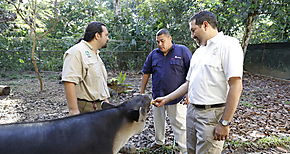 MiAMBIENTE y APPC estudian instalar centro de atencin para animales silvestres 