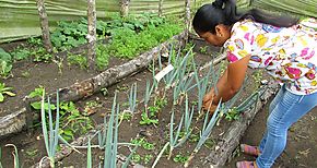 Agricultura y construccin dos de los sectores con mayor incidencia de trastornos musculoesquelticos 