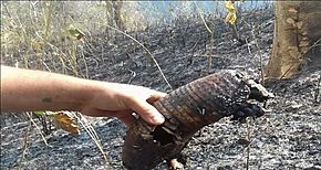 Panam tiene un grave problema con los incendios de masa vegetal