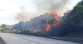  Panam Oeste inicia campaa contra incendios de masa vegetal