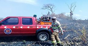 Continan los incendios de masa vegetal en Semana Santa 