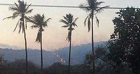 Dos incendios forestales de gran magnitud en Caazas